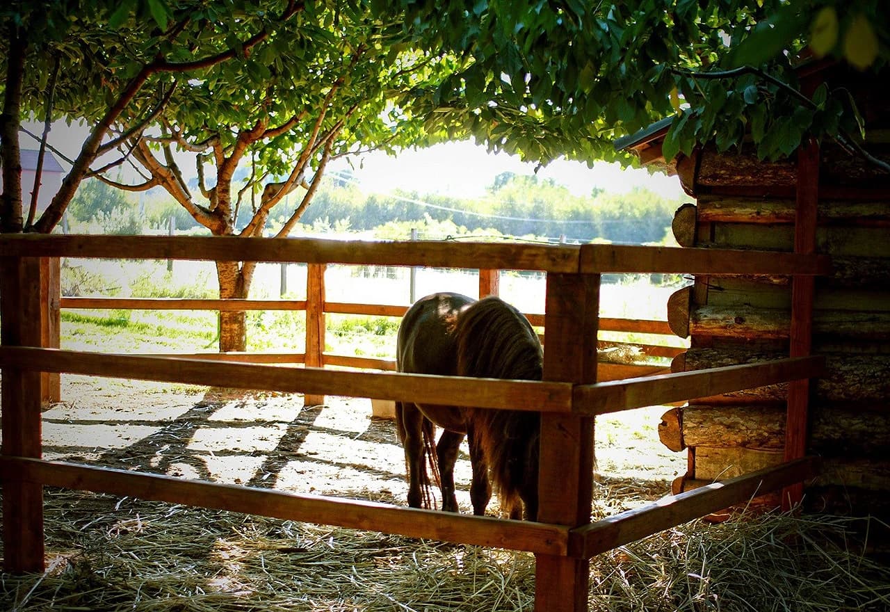 ''Započeli smo s uređivanjem malog raja za svoju unučad i u konačnici ga pretvorili u mali raj za svu dječicu''