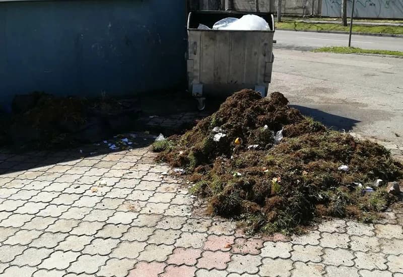 Iako smo pokušavali više puta, odgovor iz Komosa nismo uspjeli dobiti. 