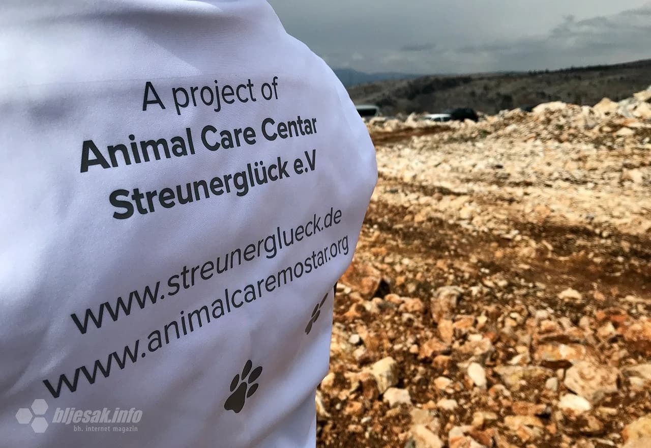 Azil je zajednički projekt Animal Care Centra i Streunerglucka