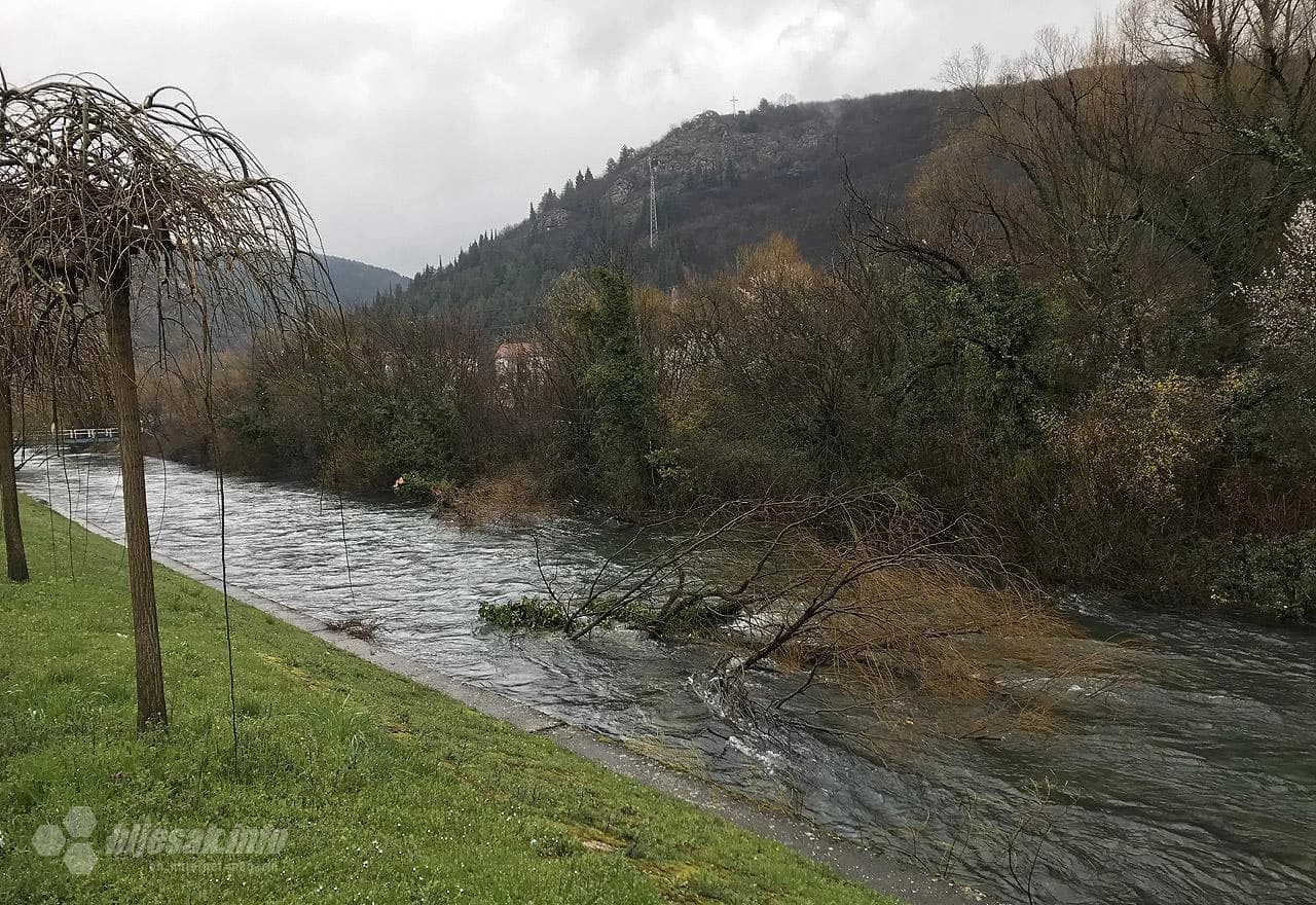 Stabla u rijeci Lištici