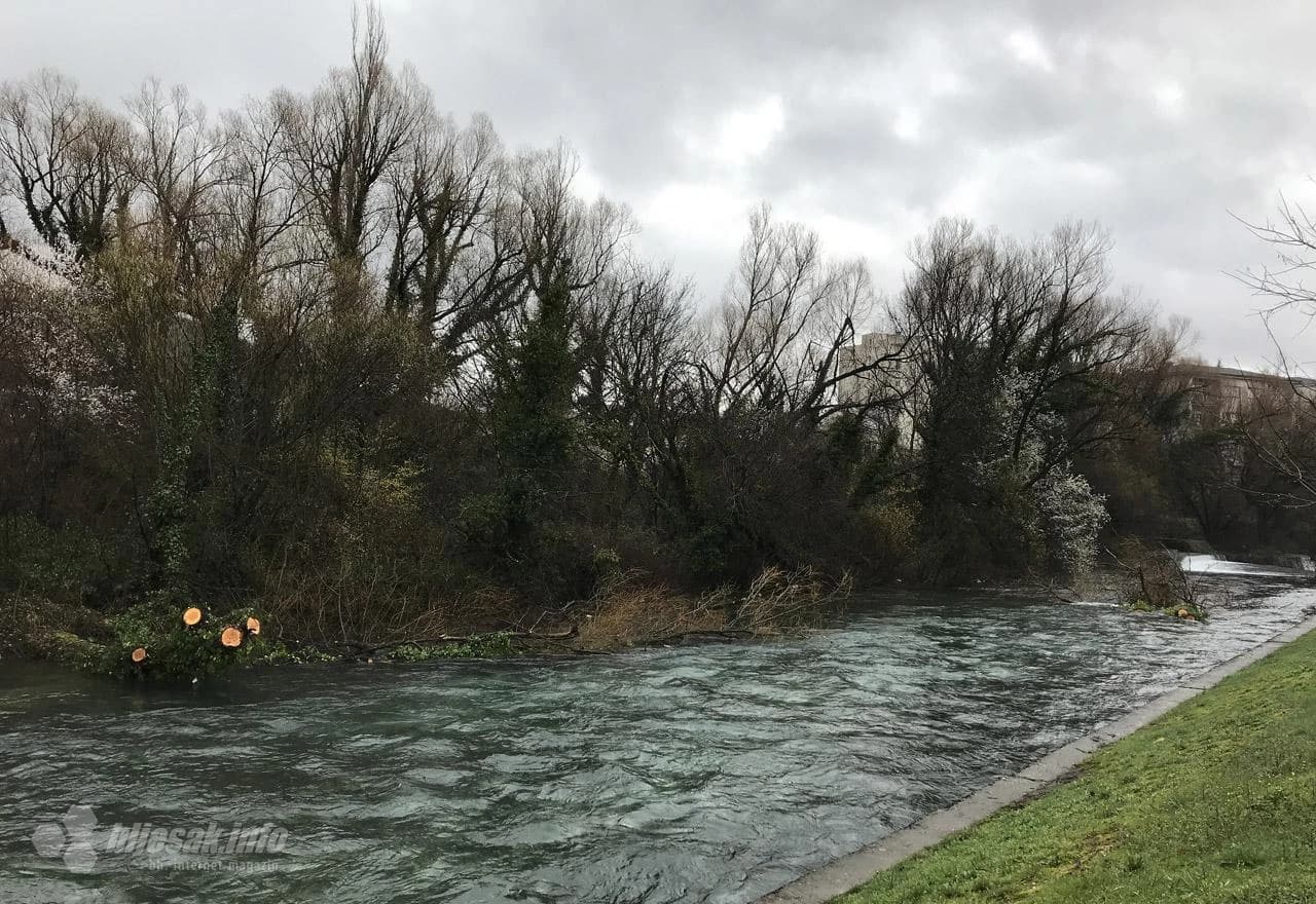 Stabla u rijeci Lištici