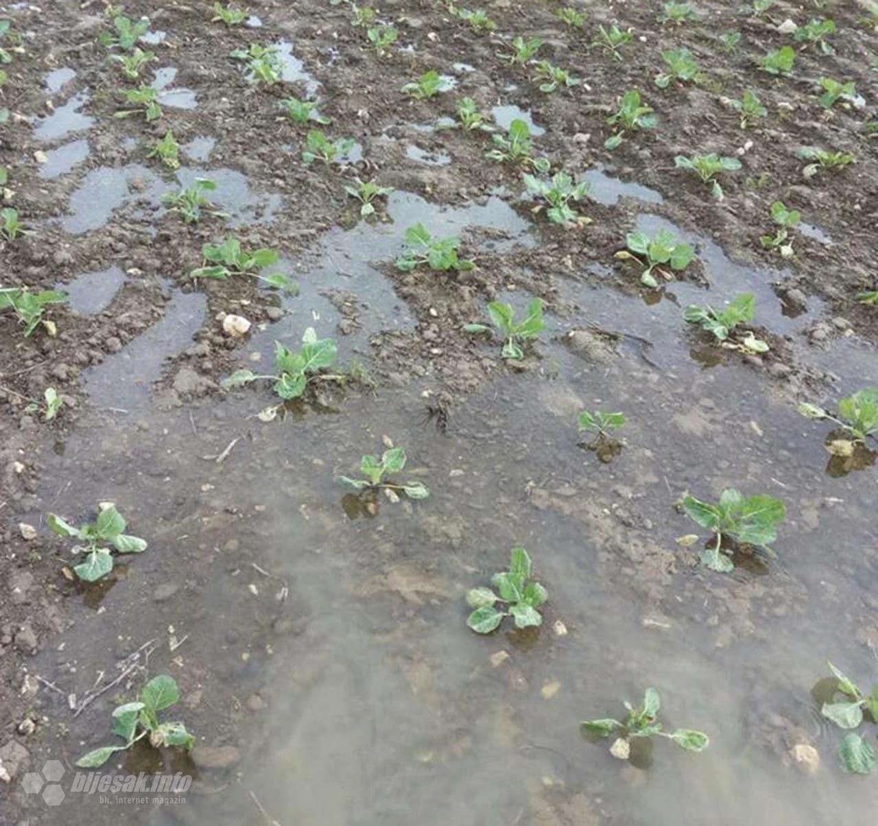 Poplava u Svitavi nanijela je velike štete u poljoprivredi