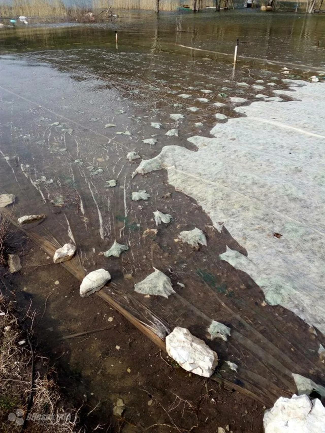 Poplava u Svitavi nanijela je velike štete u poljoprivredi