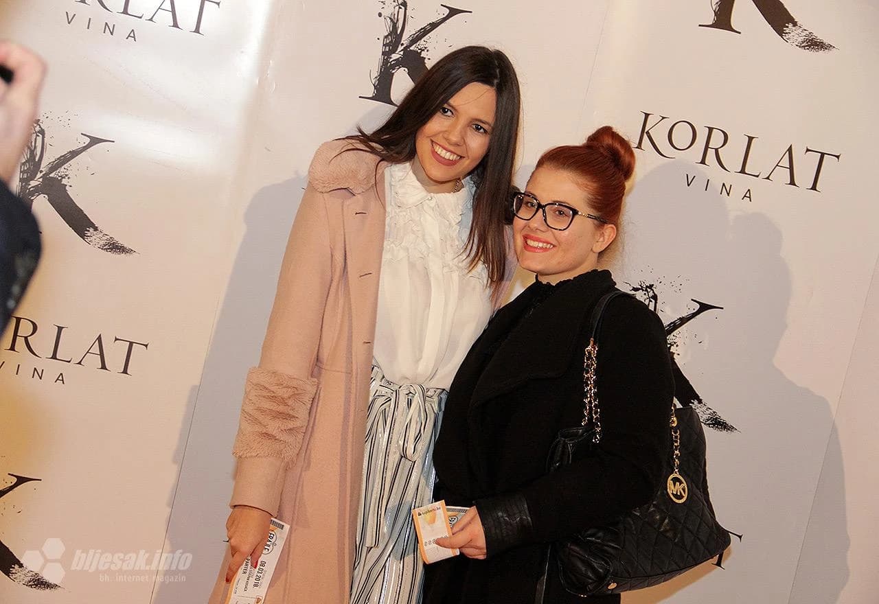 Publika u Kosači na koncertu benda The Frajle