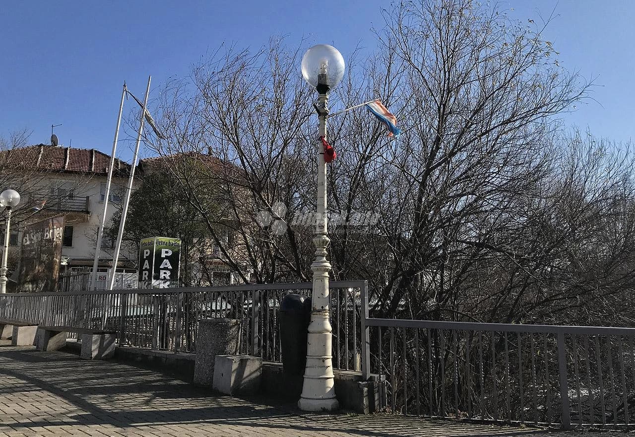 Grudnjak na rasvjetnom stupu na Trgu širokobrijeških žrtava