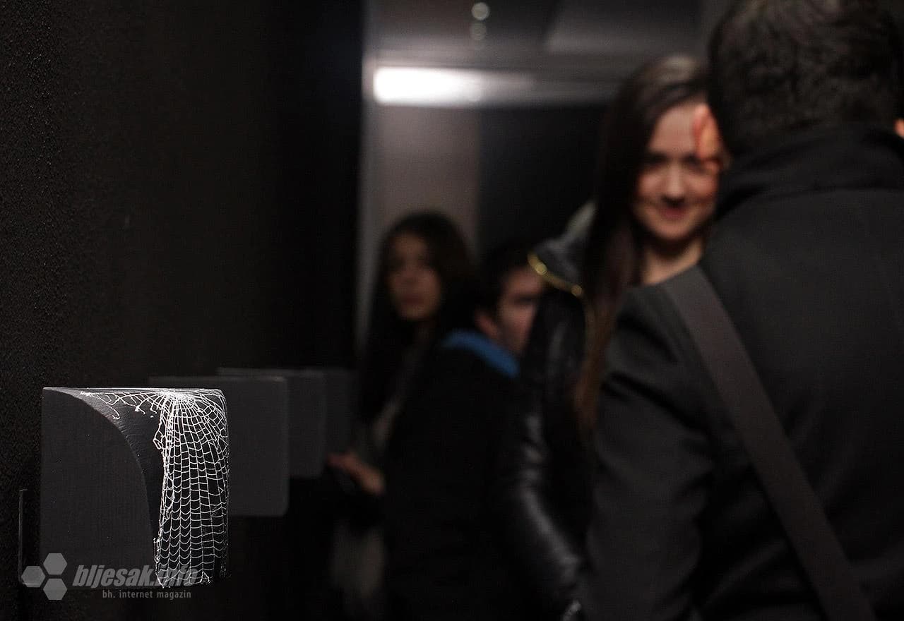 Josip Mijić u Kosači predstavio novi ciklus radova