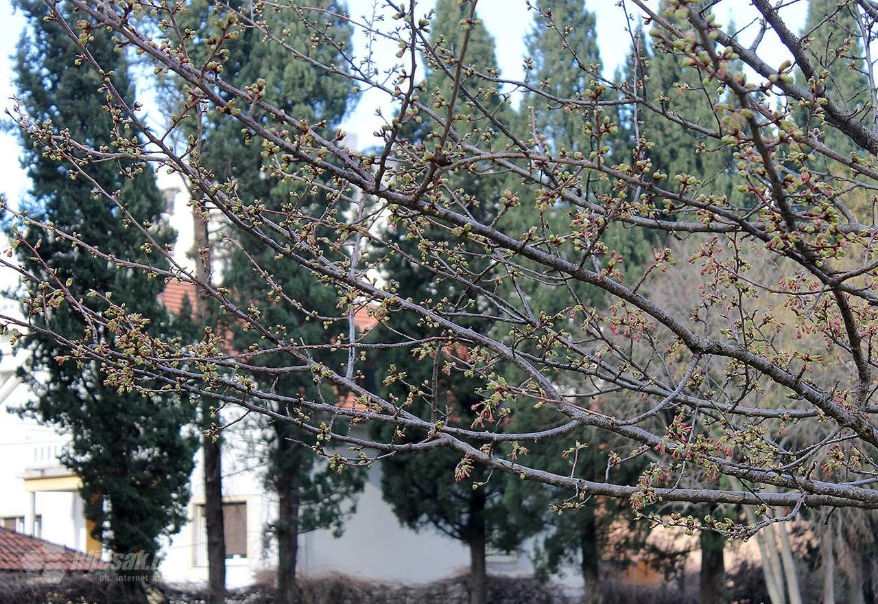 Park Zrinjevac u siječnju 2018.