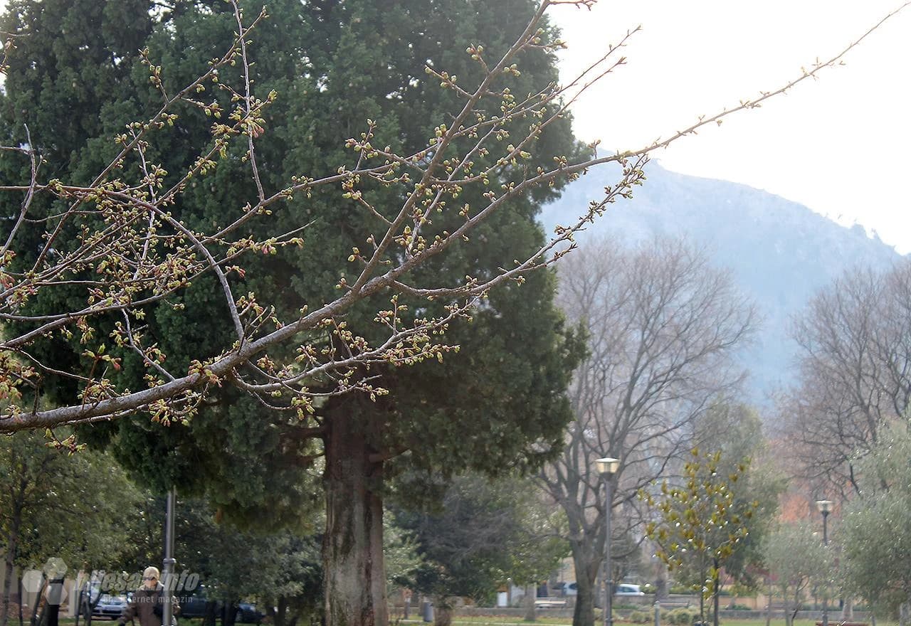 Park Zrinjevac u siječnju 2018.