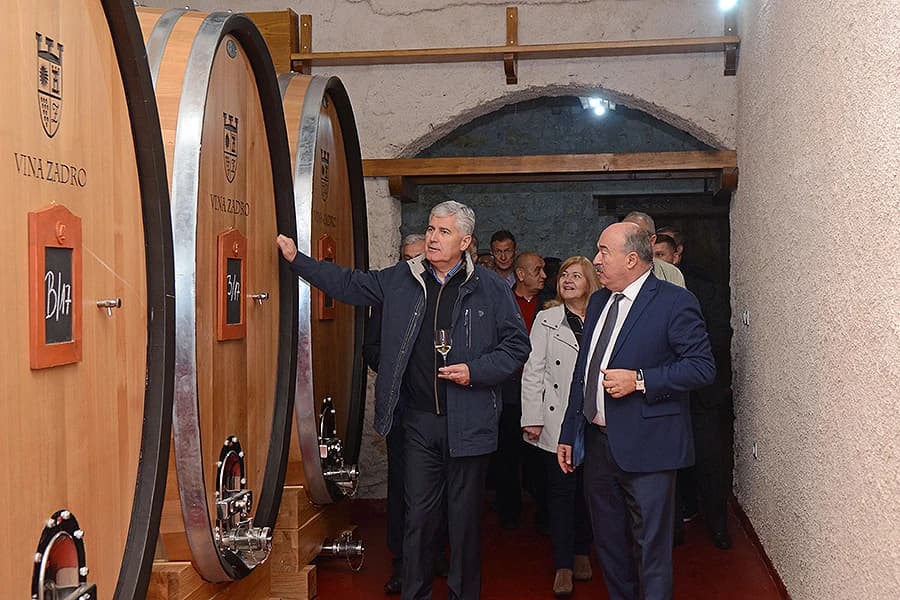 Foto: Martinje /Vina Zadro