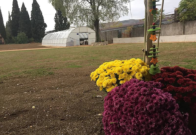 Socijalno poduzeće ''VedriMo''