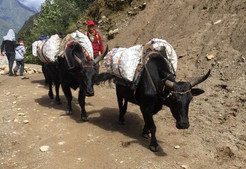 Ekspedicija Himalaya pripremana je točno devet mjeseci.