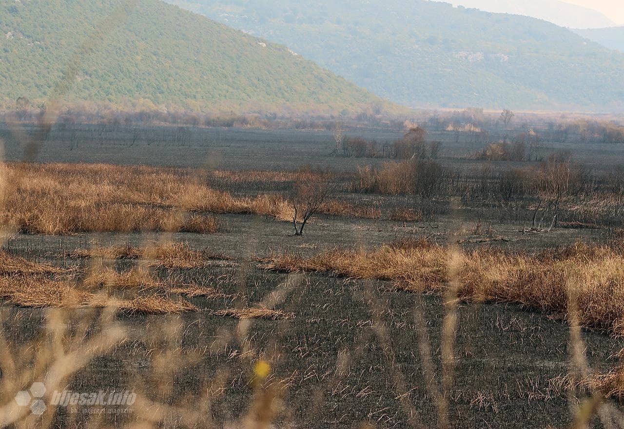 Požar katastrofalnih razmjera opustošio Hutovo blato