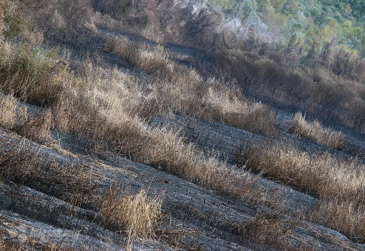 Požar katastrofalnih razmjera opustošio Hutovo blato