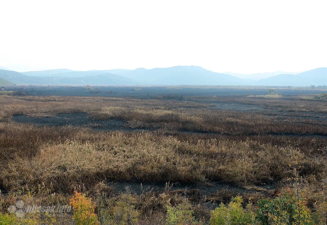 Požar katastrofalnih razmjera opustošio Hutovo blato