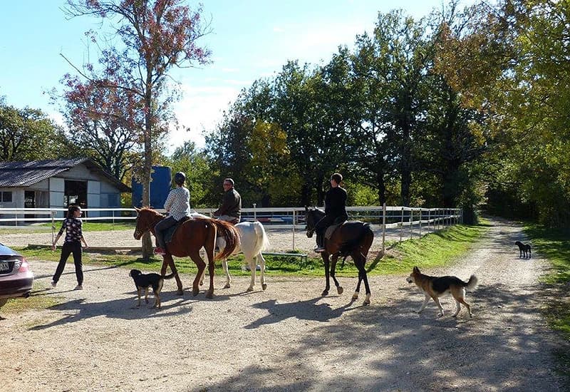 Tematske rute srednjovjekovne hercegove zemlje 