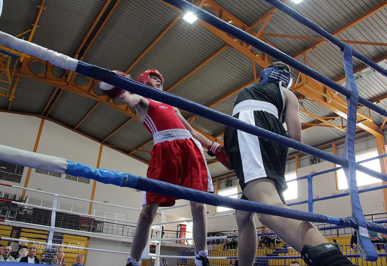 Prvenstvo FBiH u olimpijskom boksu