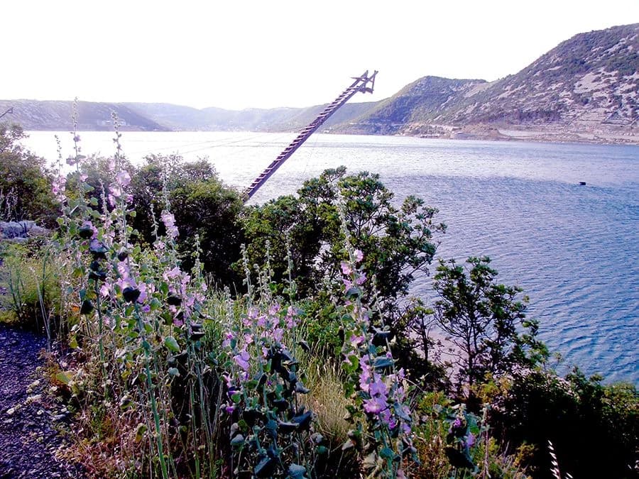 Tunera je tu, tuna nema