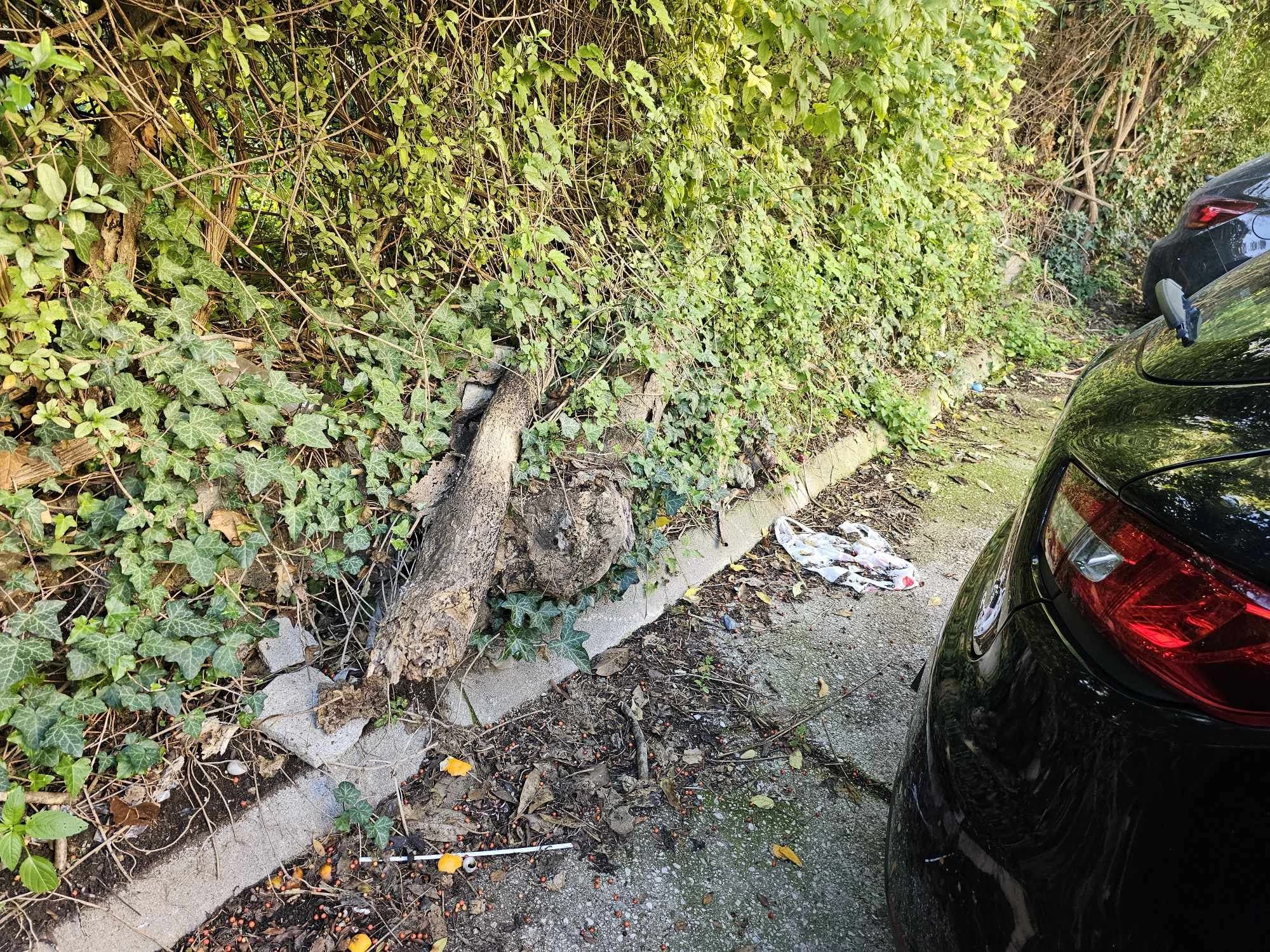 Naselje Vatikan u Mostaru