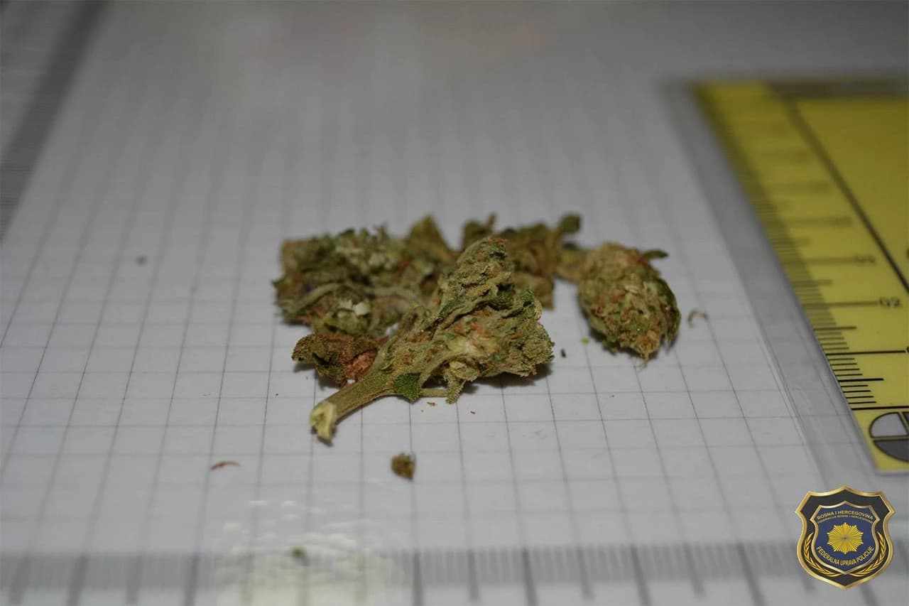 Zaplijenjeni Cannabis