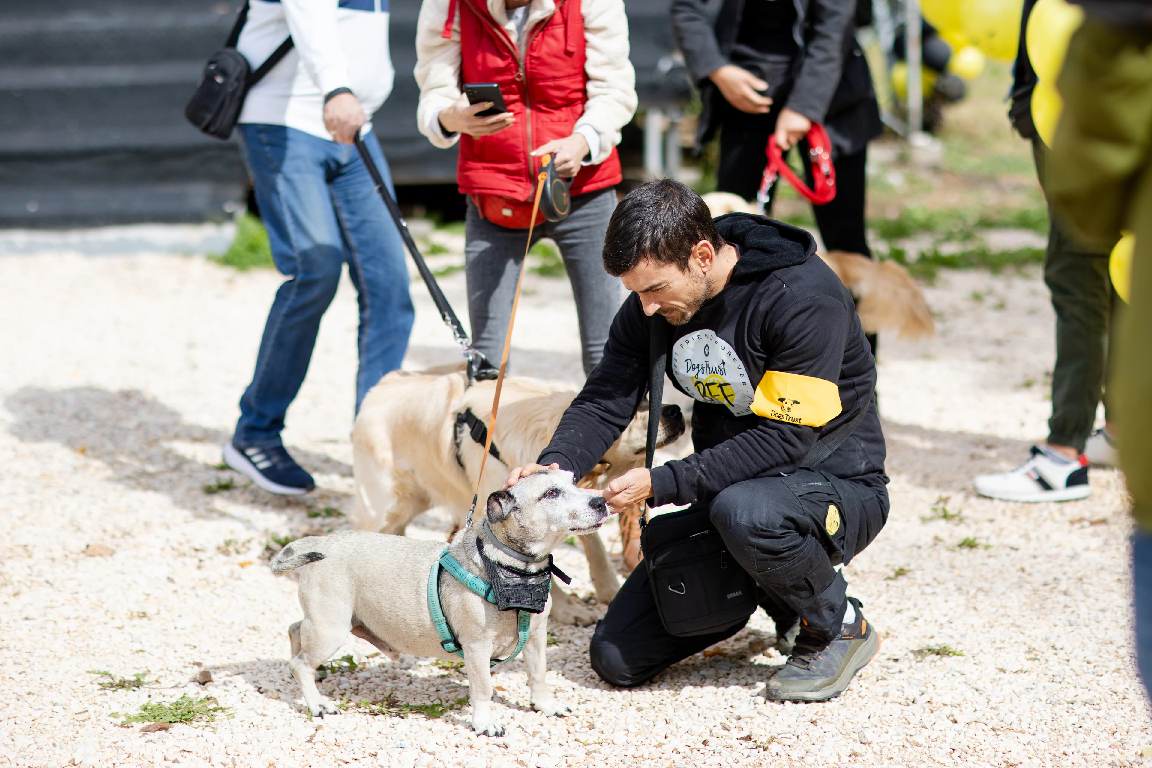 Upriličeno veliko Dogs Trust druženje “Sarajevo za ljubav i odgovornost prema psima”