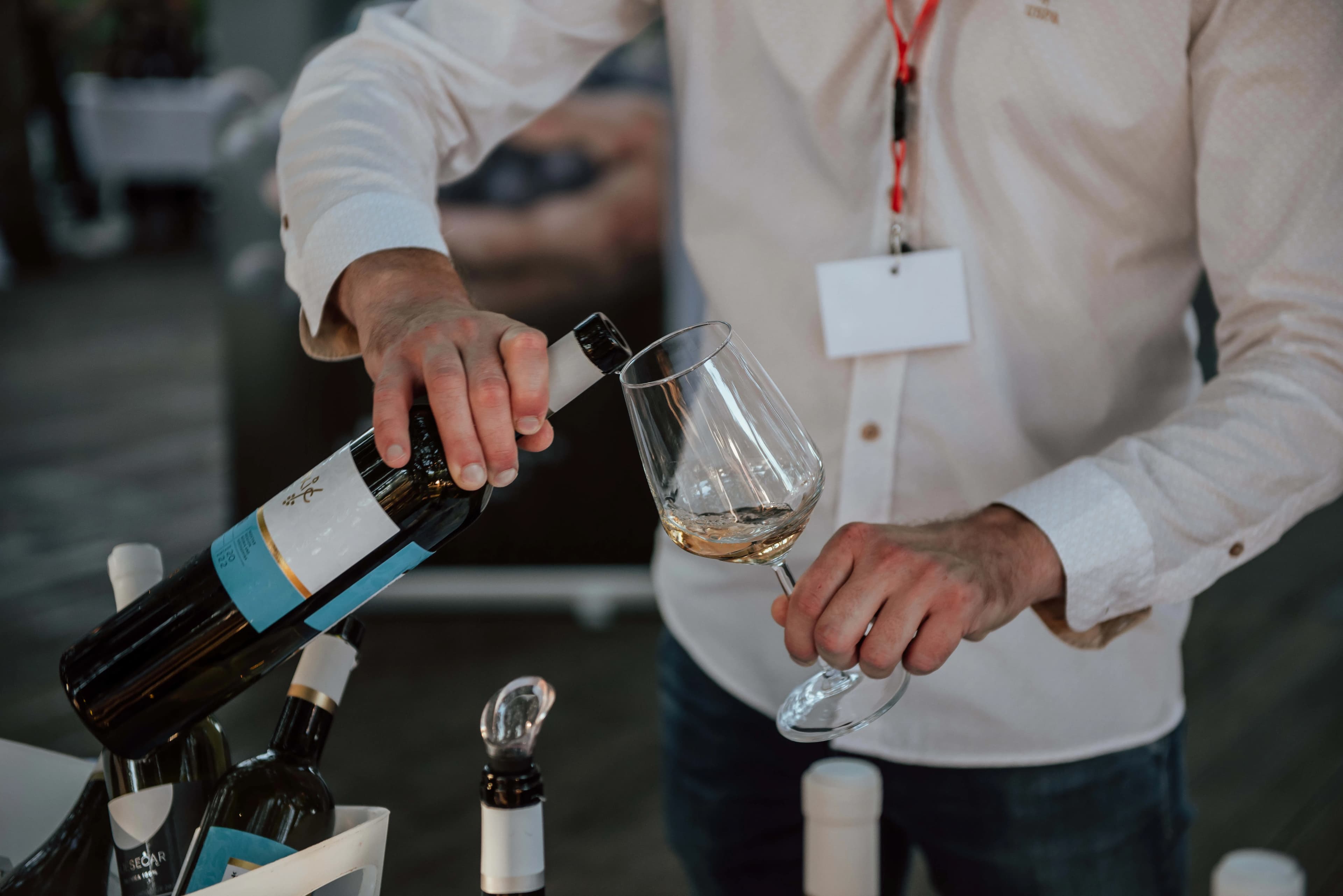 Eno-gastro zabavni performans BLAŽ Enology