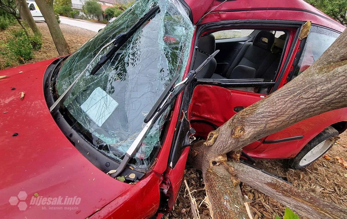Drvo spriječilo automobil da ne sleti u Neretvu