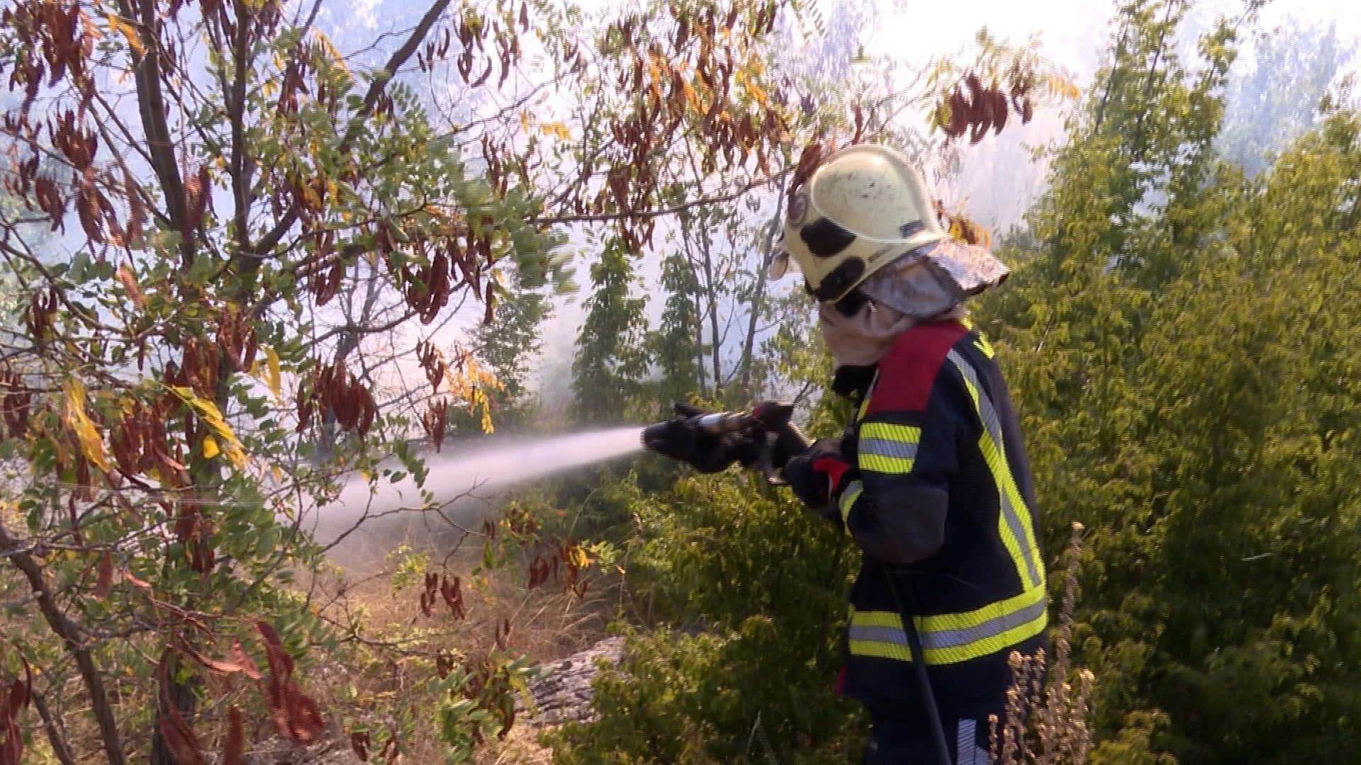 Požar u Dobroselskom gaju