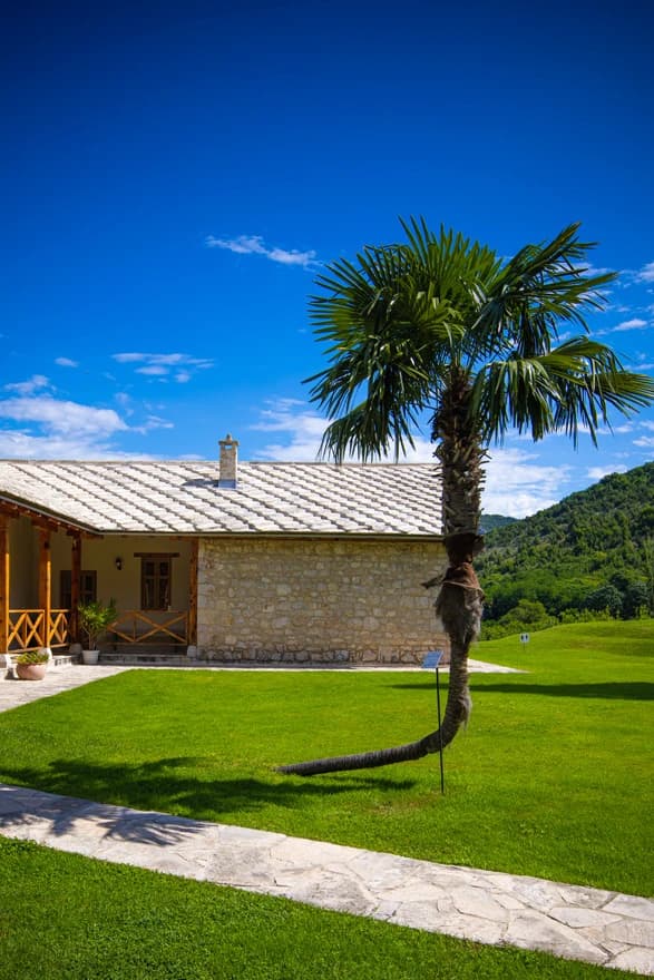 Foto: Bljesak.info/Kriva palma u manastiru