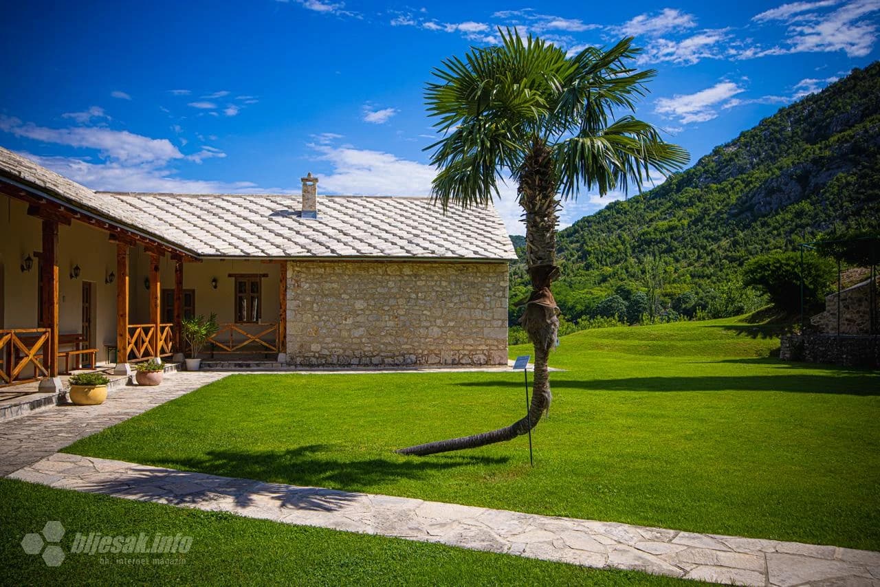 Kriva palma ispred Manastira Žitomislić