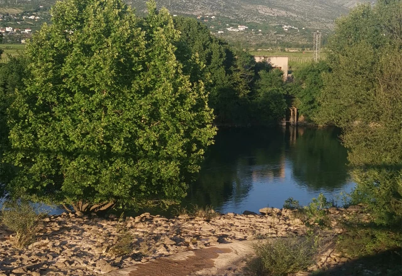 Ekološka katastrofa na Neretvi