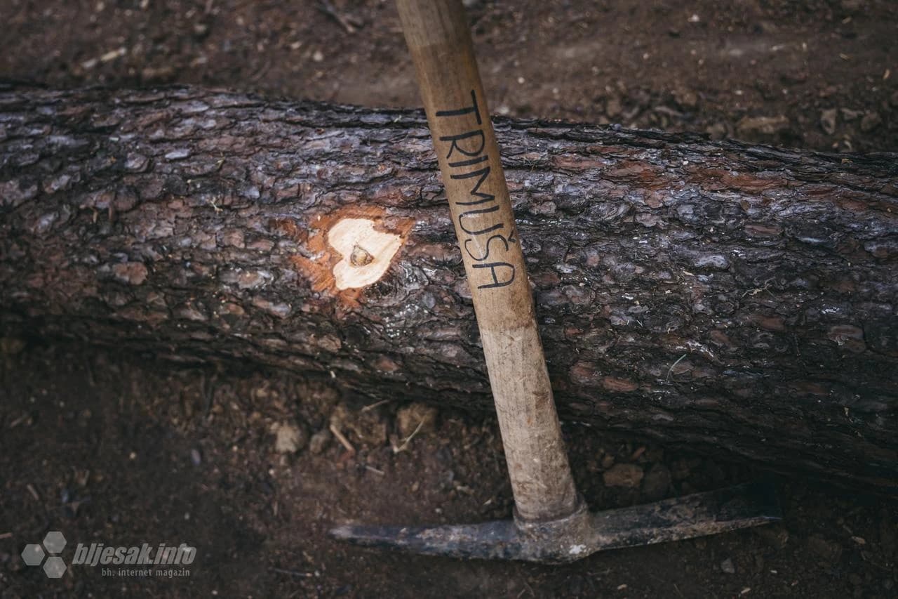  Akcijom čišćenja na Trimuši obilježen Dan planeta Zemlje