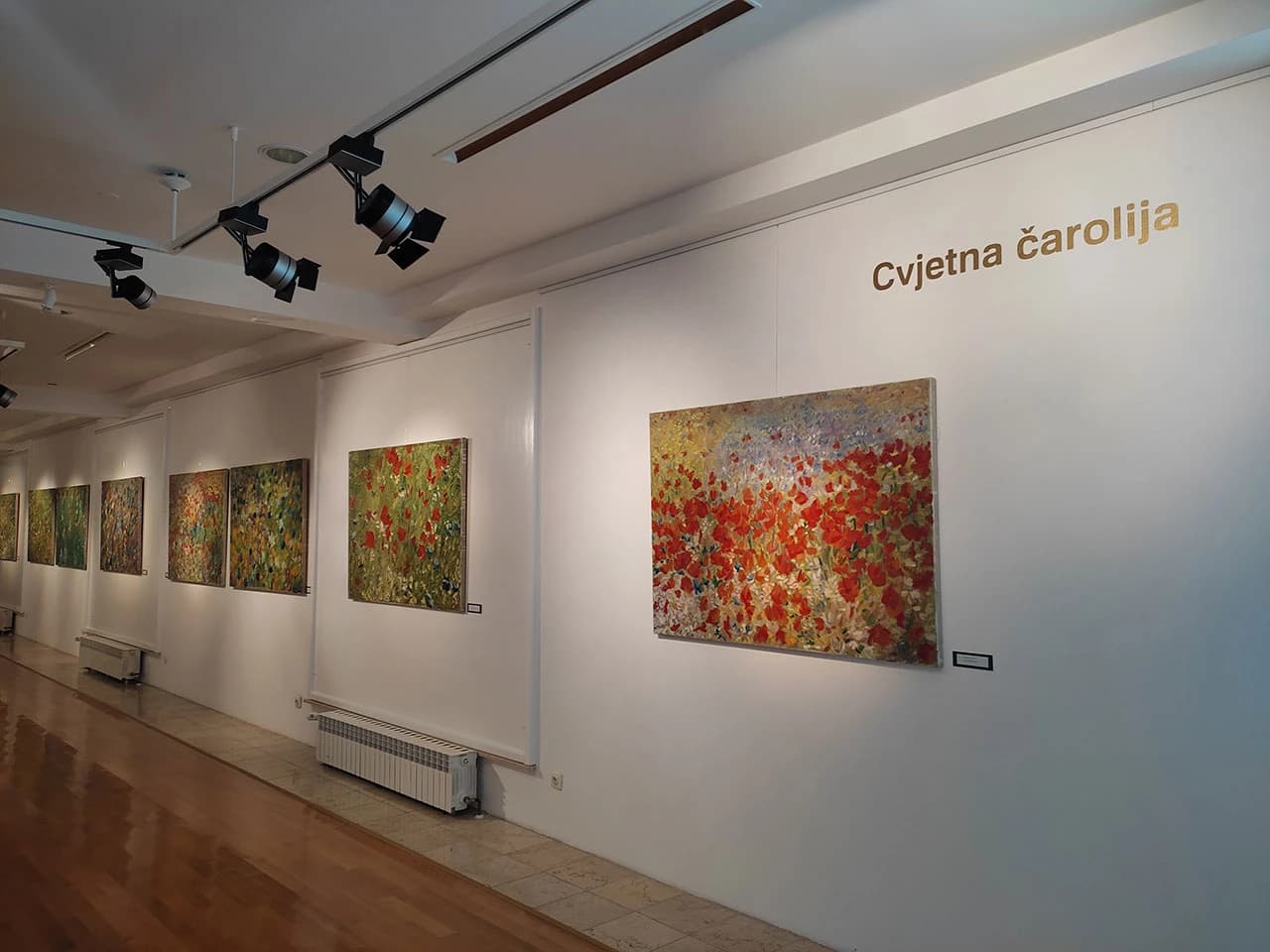 Izložba Željka Karaule u Livnu