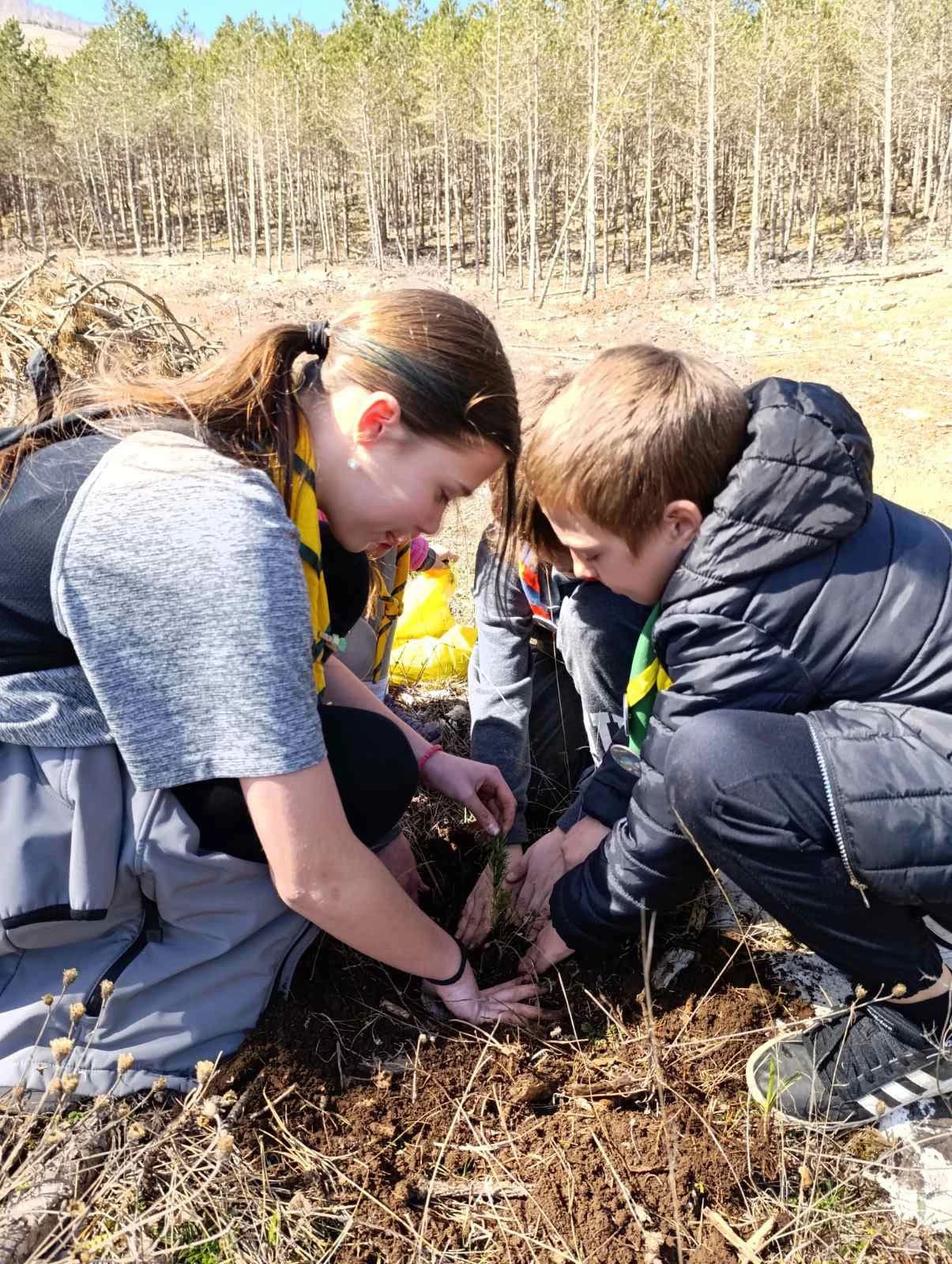 Akcija pošumljavanja...