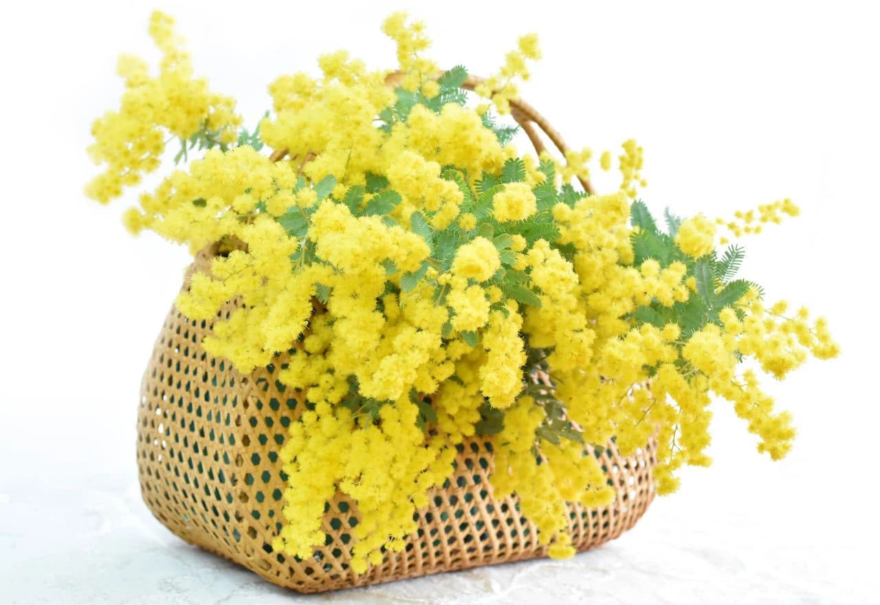 Sinonim za dekoraciju u proljeće