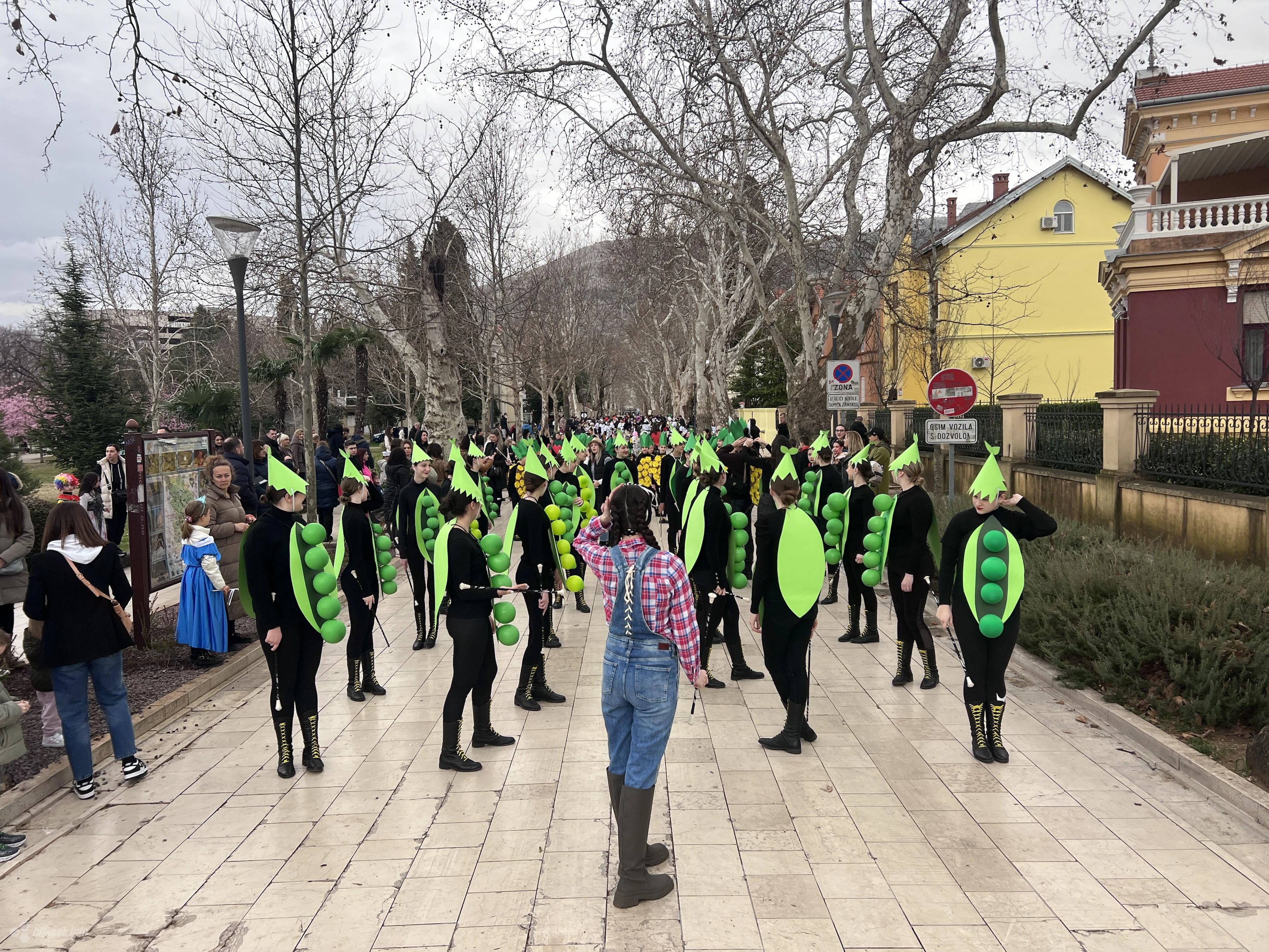 Karnevalska povorka 2024.