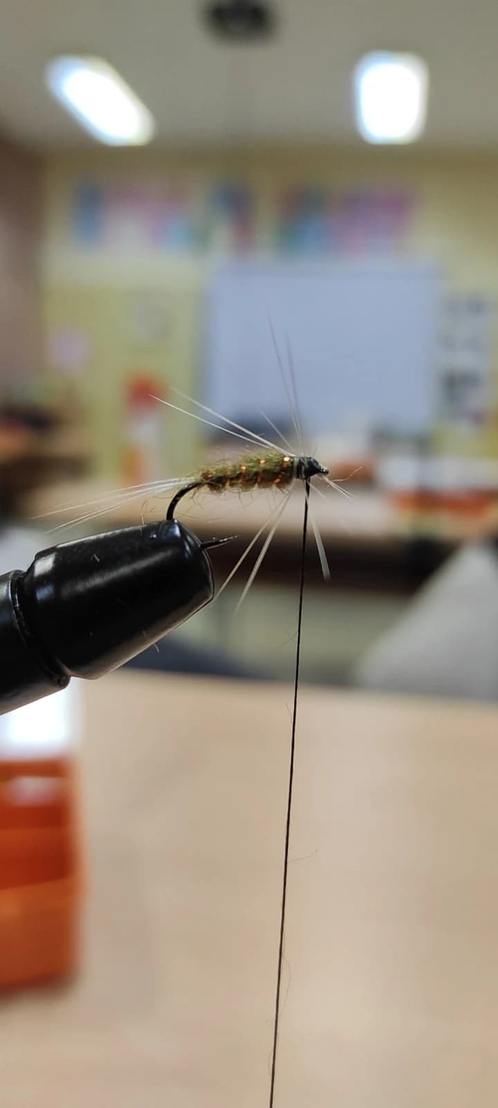 Održano prvo predavanje Škole mušičarenja u Blagaju