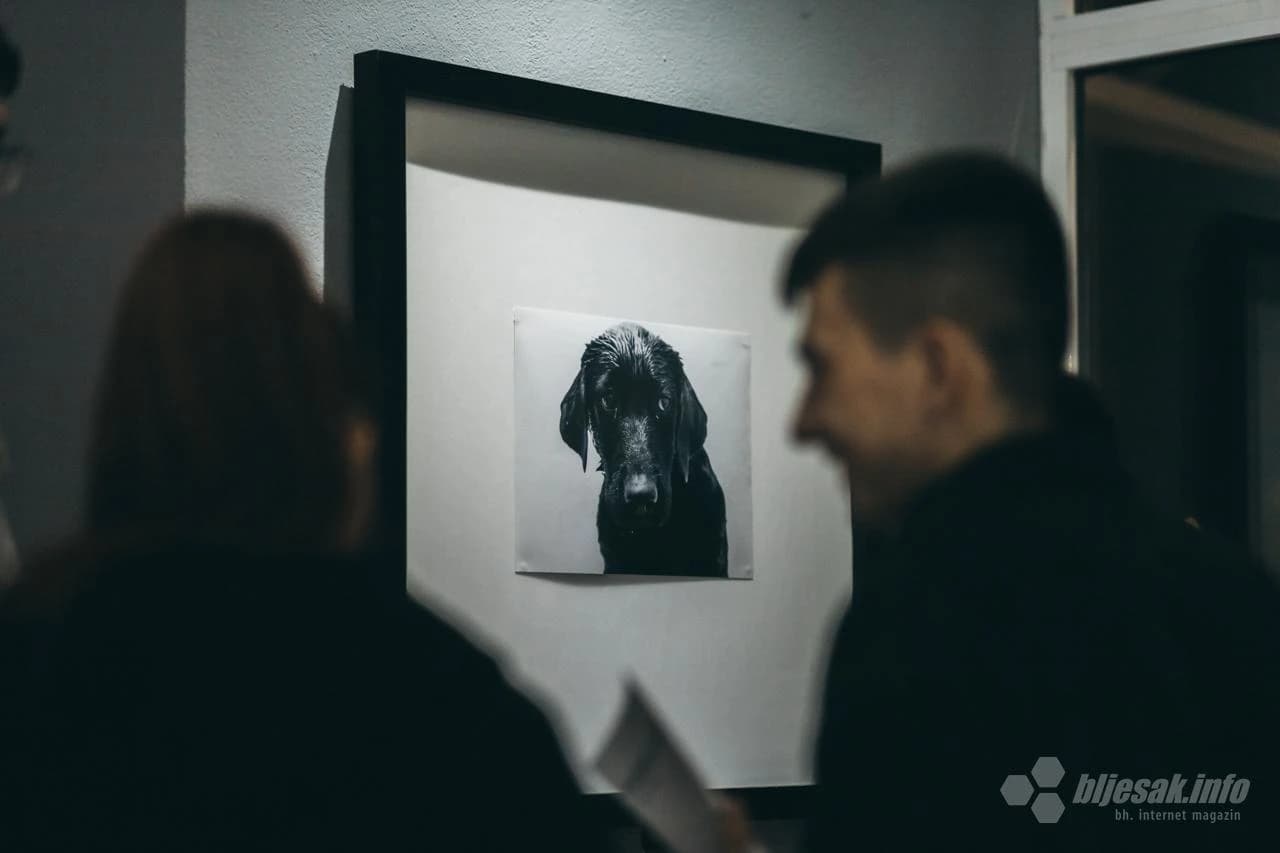 Otvorena izložba fotografija Luke Đurića