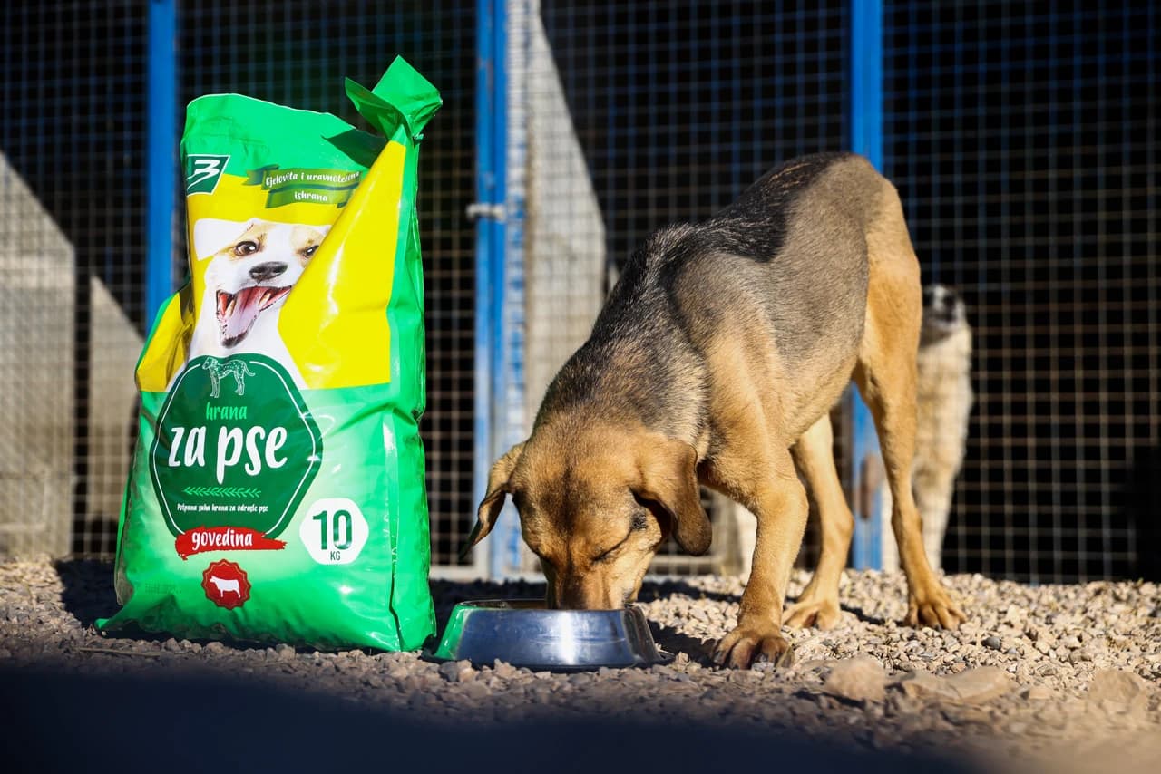 Donacija hrane Animal care centru