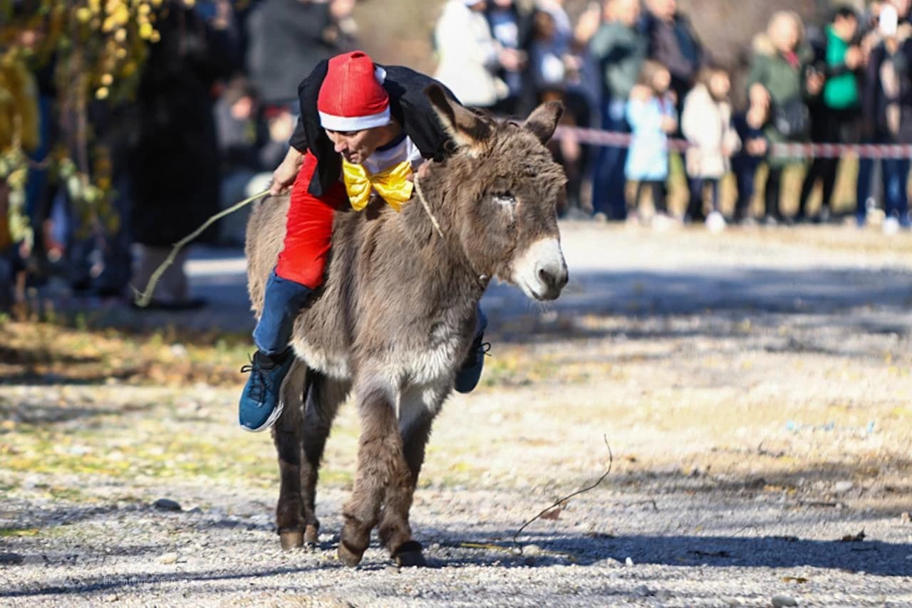 Božićna utrka magaraca u Čapljini