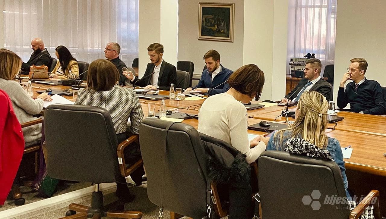 Visoko obrazovanje u Federaciji Bosne i Hercegovine — stanje i perspektive razvoja