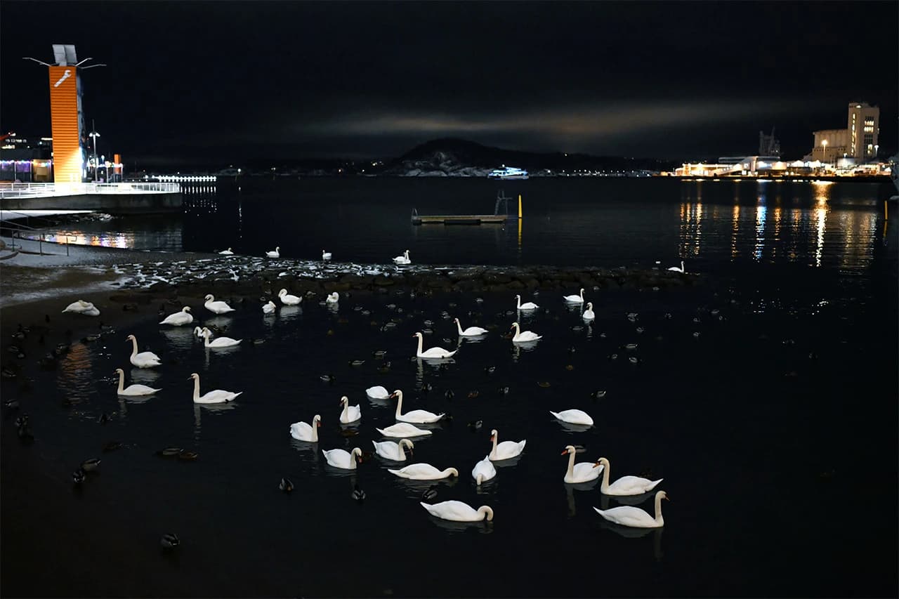 Norveški Oslo jedan od najboljih gradova za život na svijetu