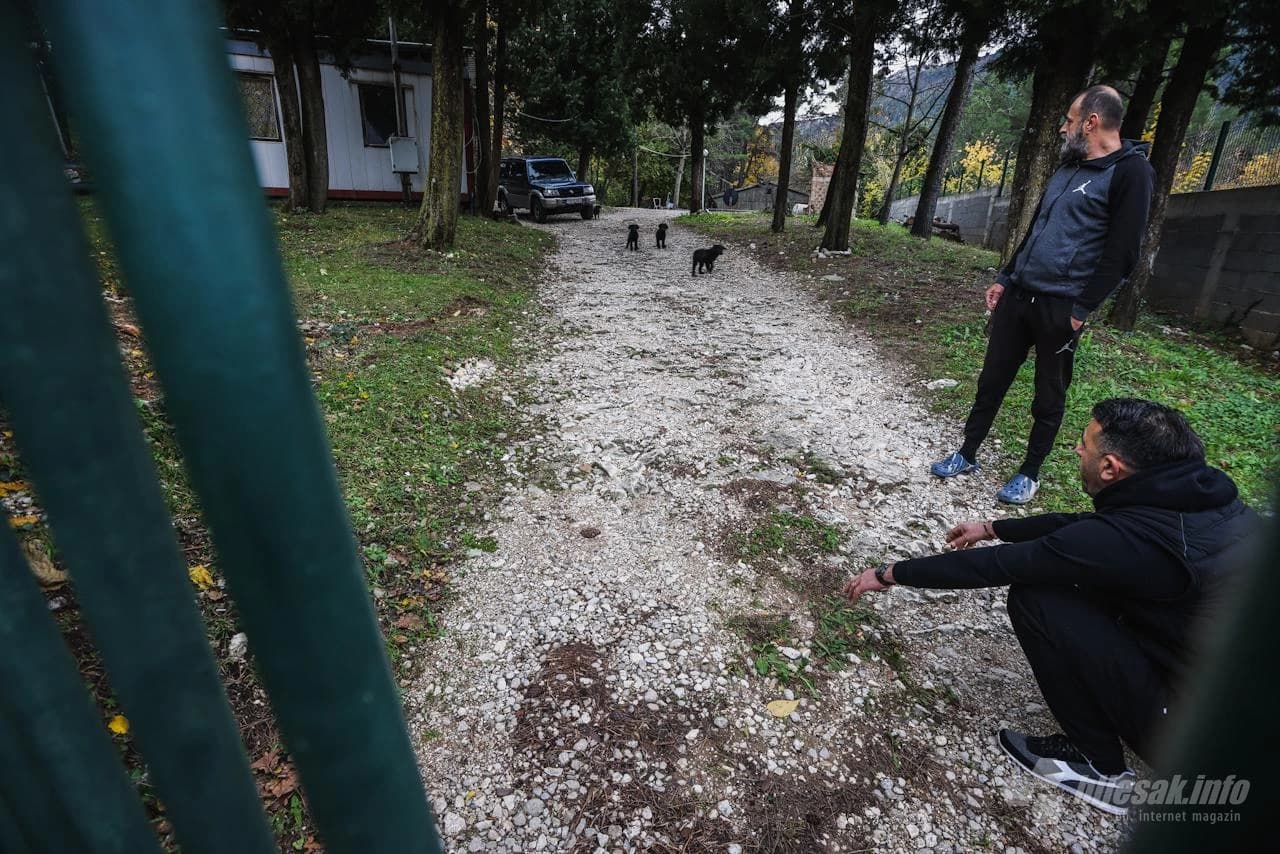 Psi zalutali u mostarsko poduzeće Vodovod...