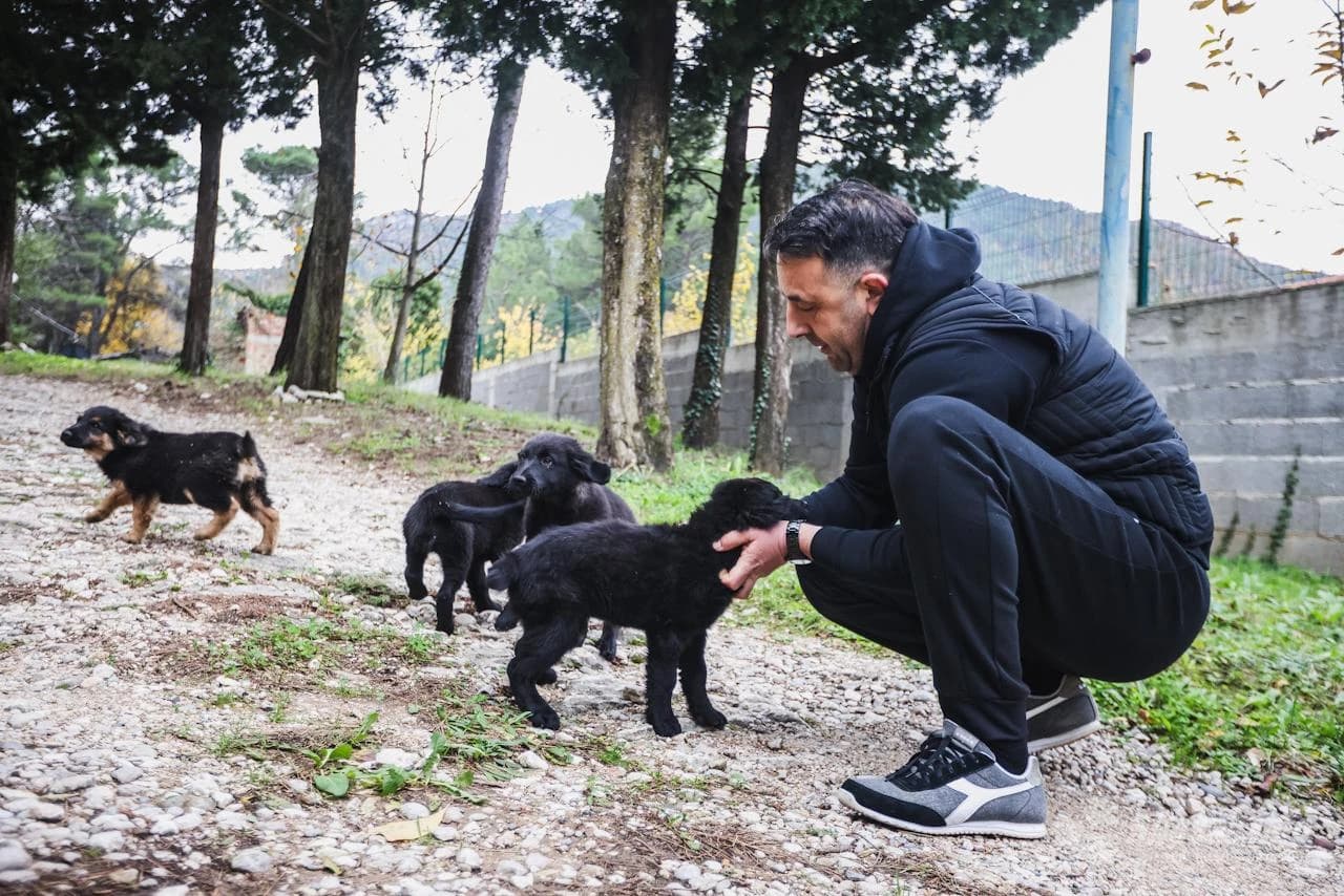 Psi zalutali u mostarsko poduzeće Vodovod...