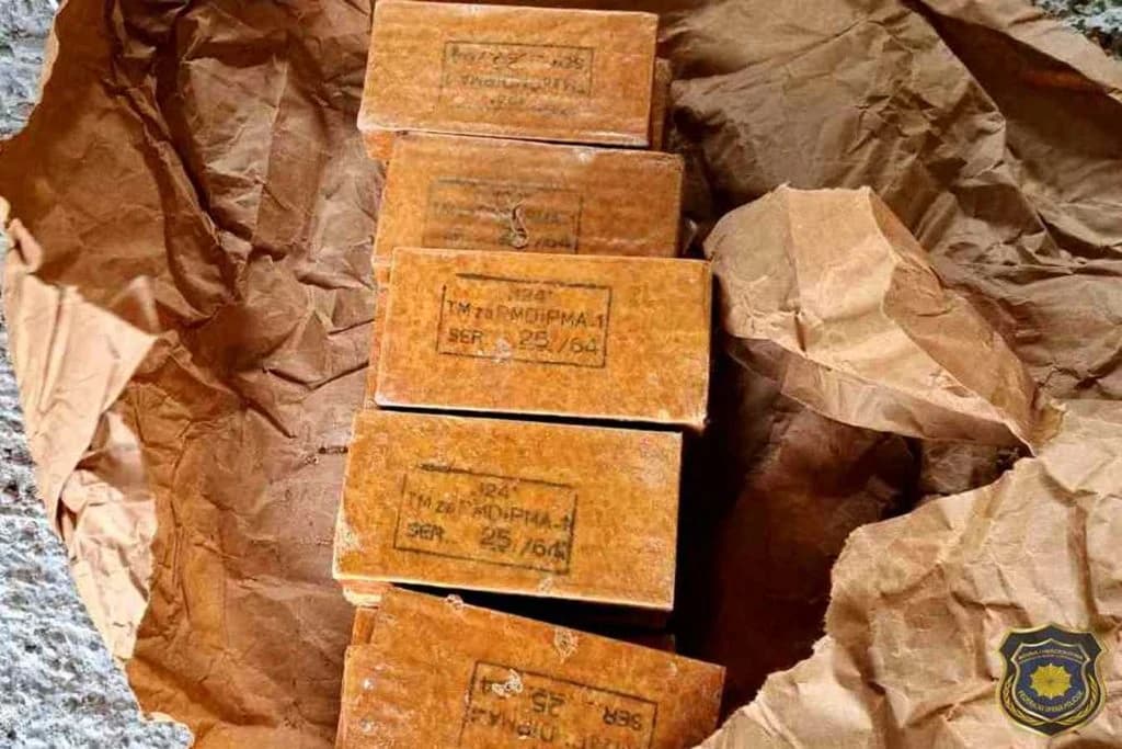 Zaplijenjeno oružje