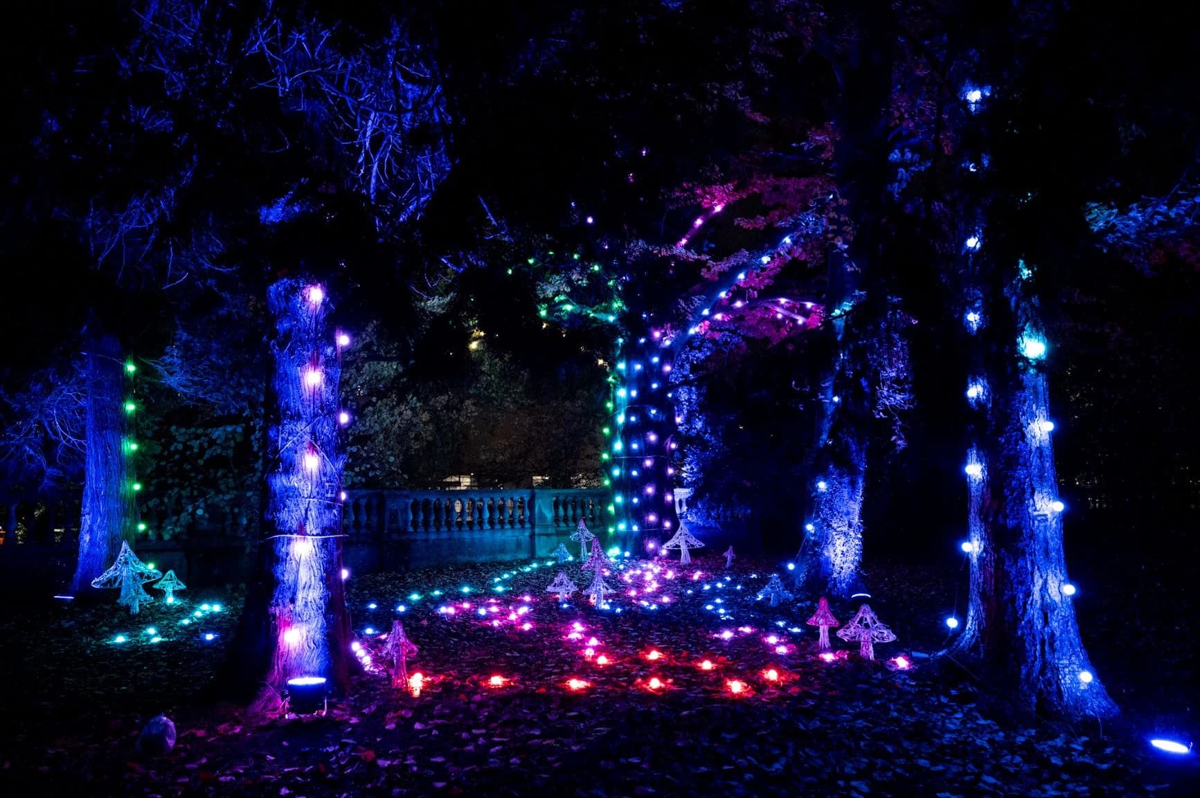 Festival svjetla Sarajevo