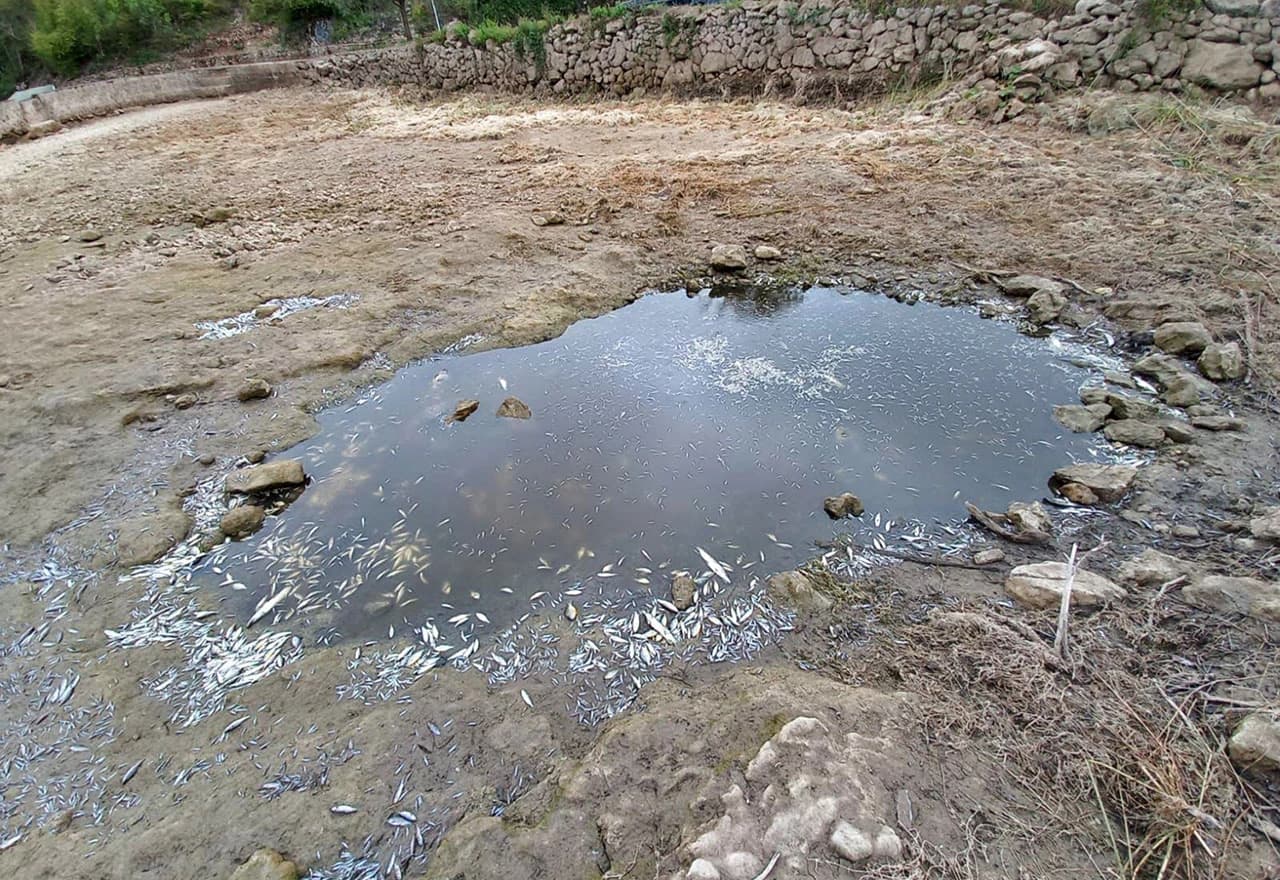 Utjecaj Hidroelektrane Peć Mlini na rijeku Tihaljinu