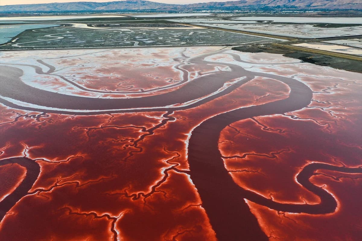  San Francisco sastoji se od jezera za isparavanje soli