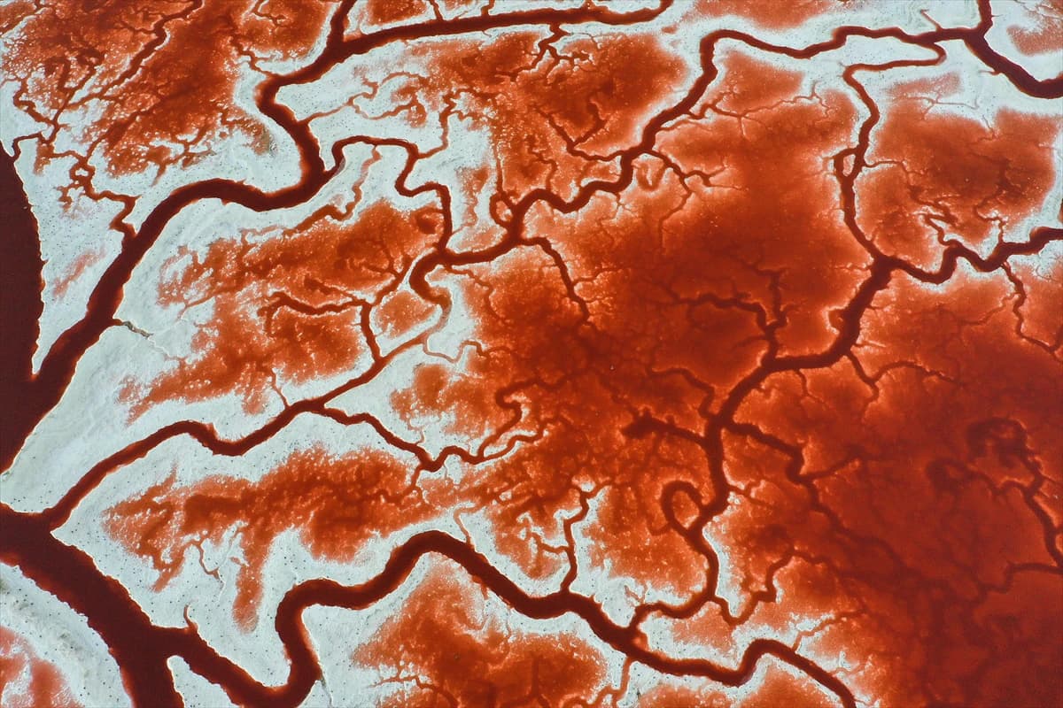  San Francisco sastoji se od jezera za isparavanje soli