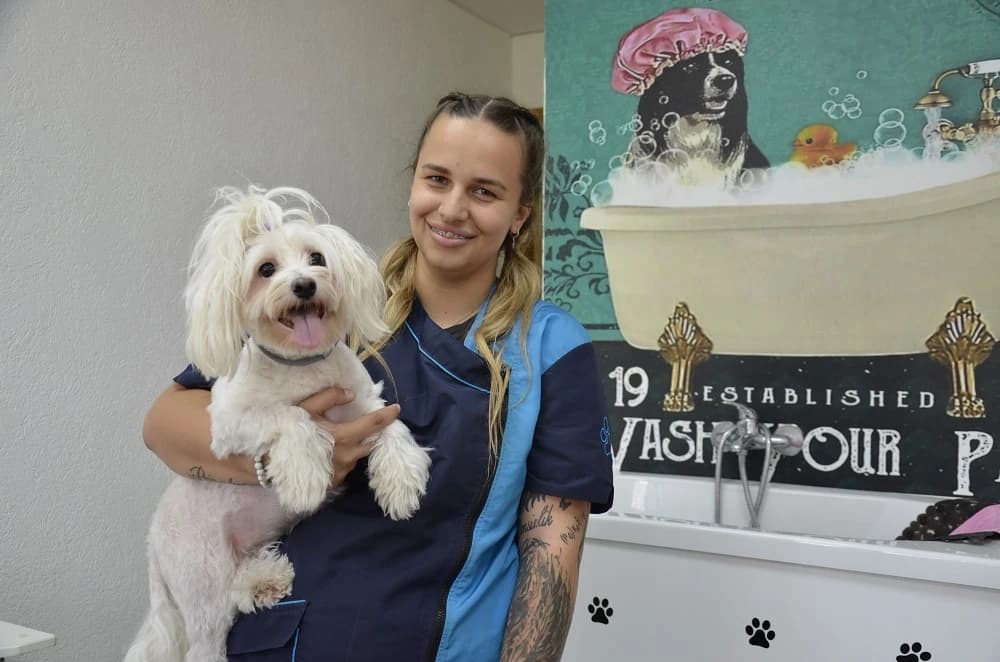 U Modriči je pokrenuto pet novih biznisa