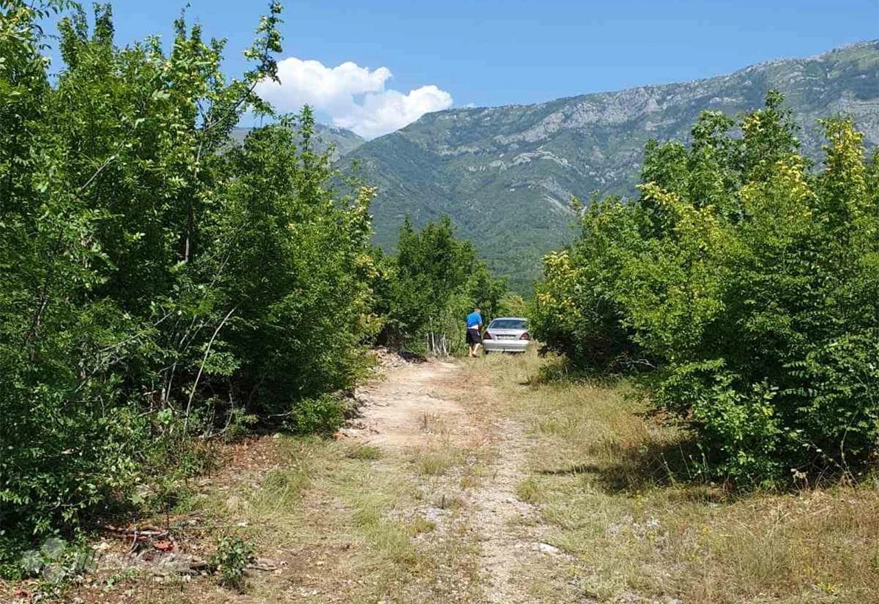 Bageri šire cestu u mjestu Kuti-Livač